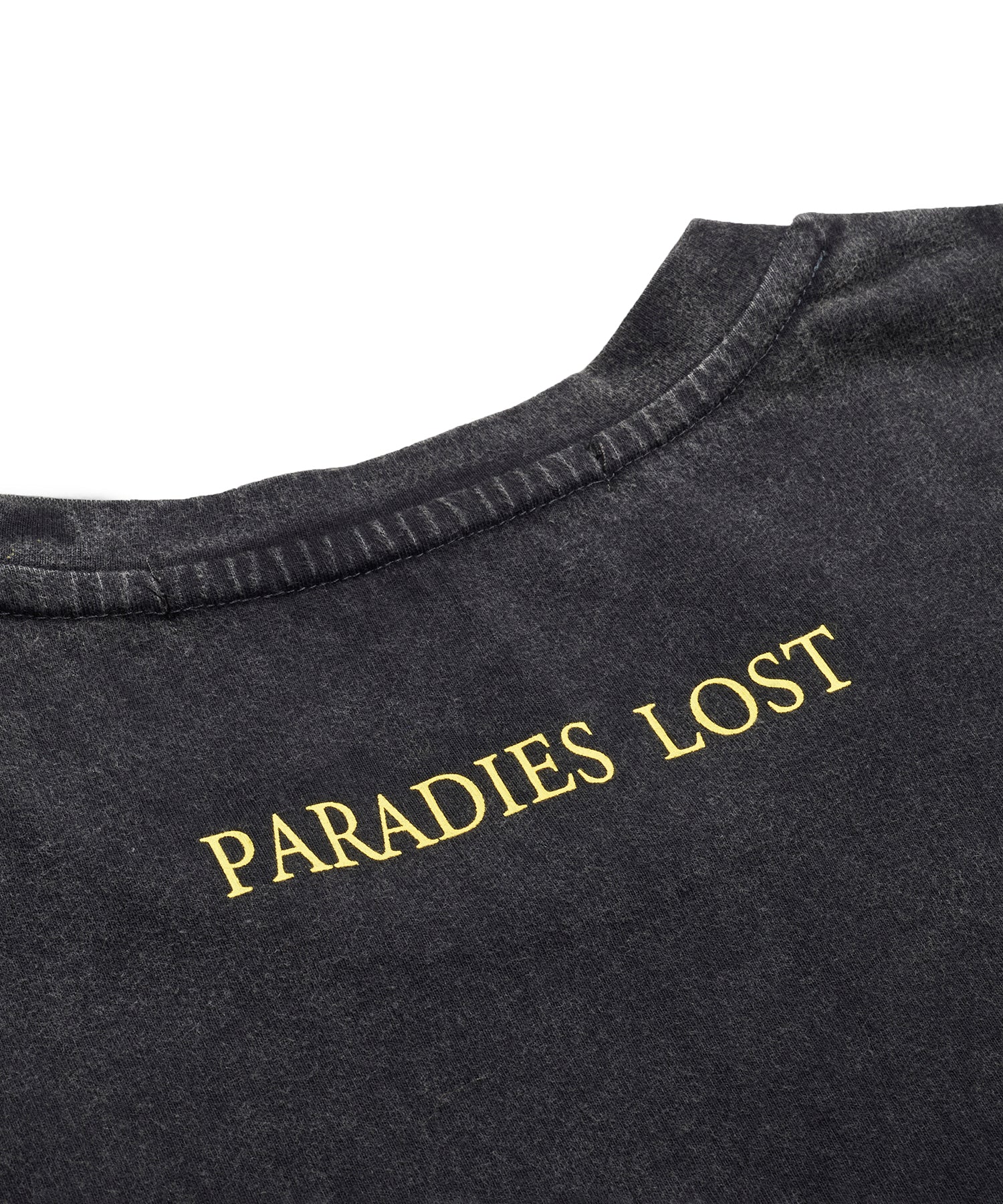 PARADISE LOSTプリントBIG-T