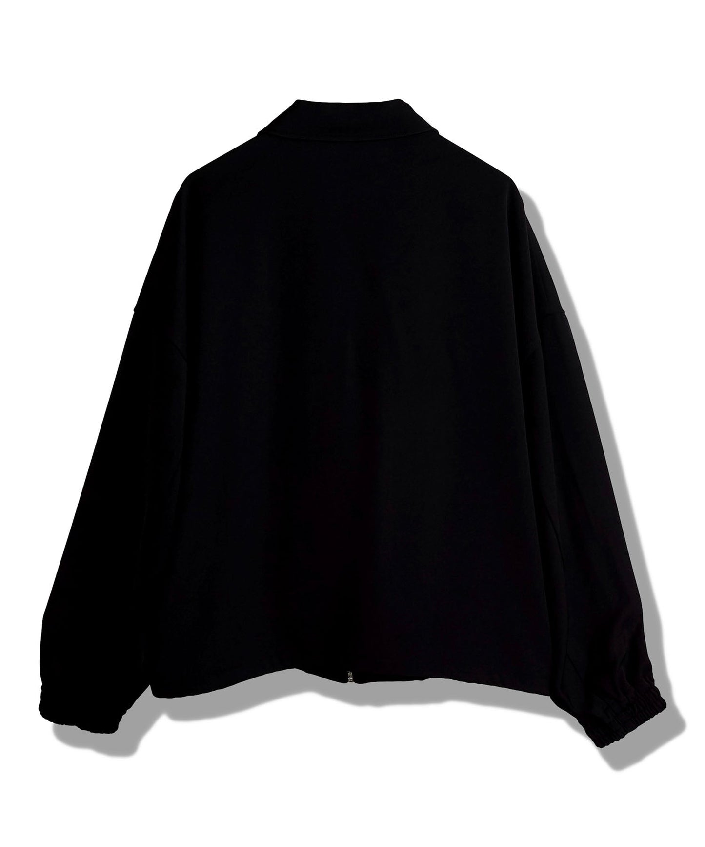 WポケットZIP-BLZ