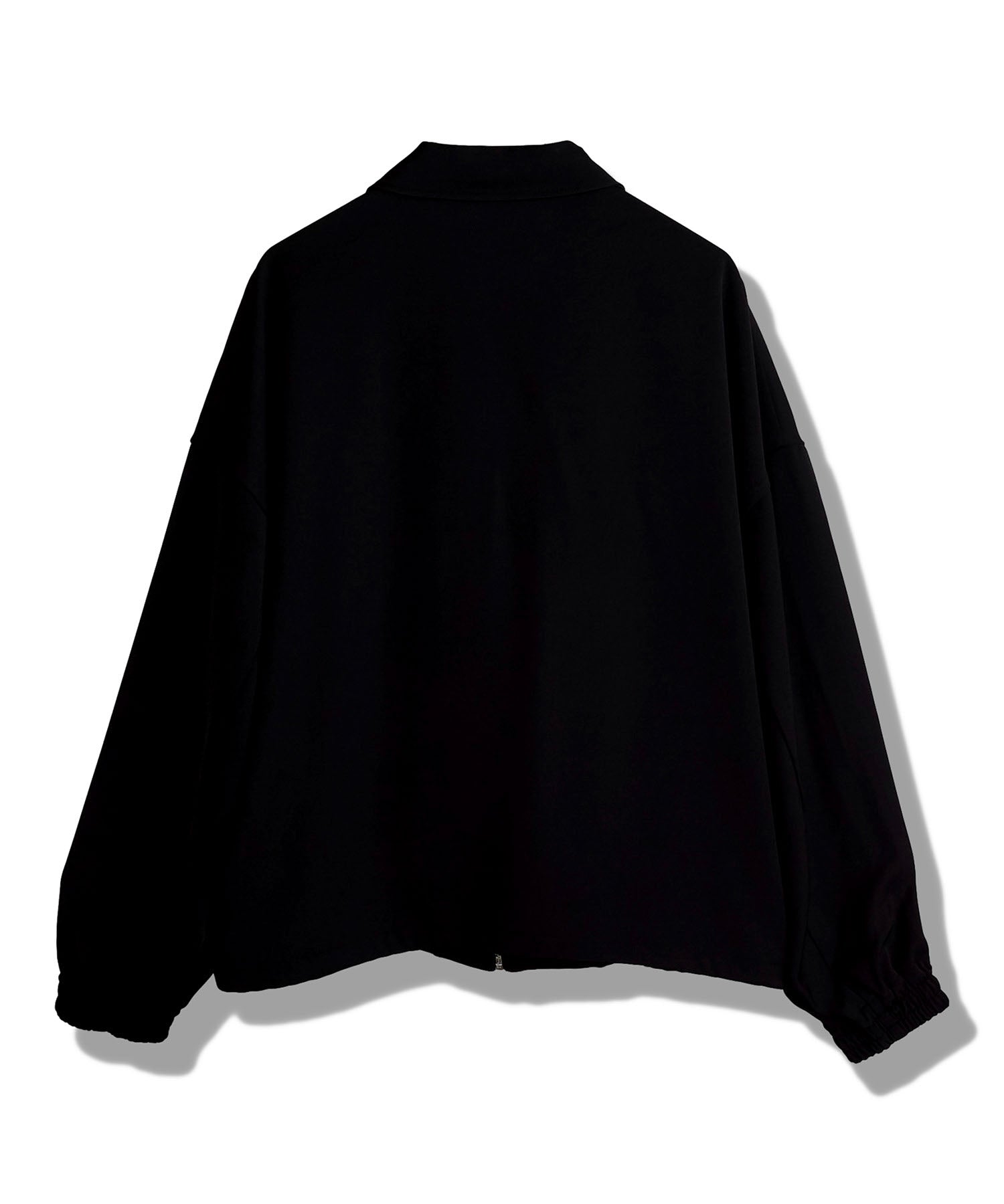 WポケットZIP-BLZ