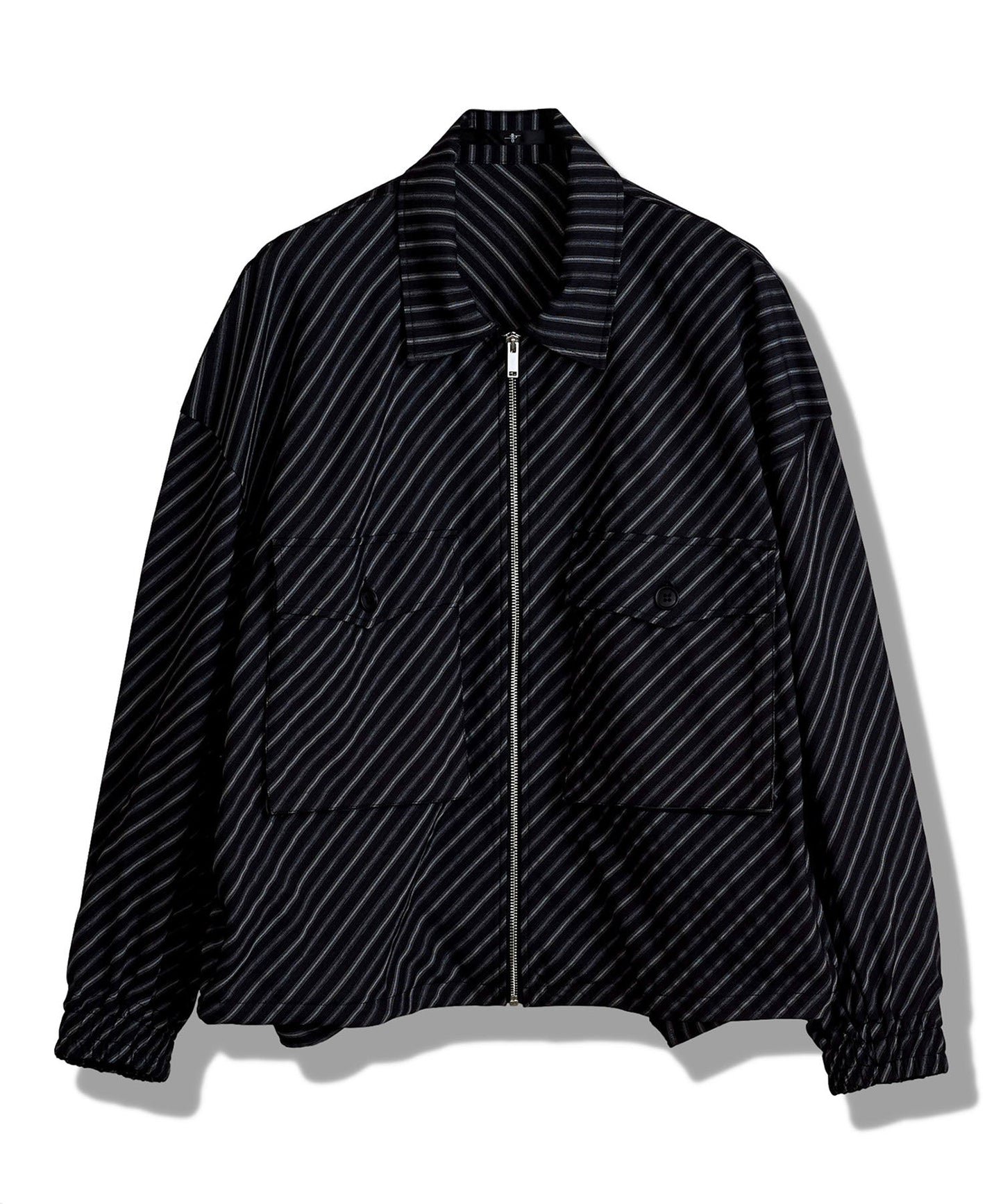 WポケットZIP-BLZ