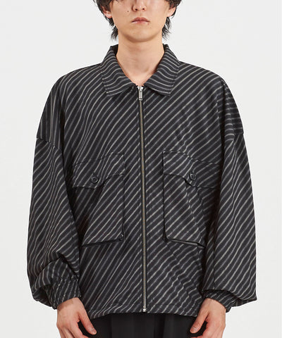 WポケットZIP-BLZ